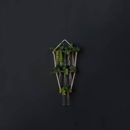 Propagation Station, Wall Hanging, Test Tube Holder For Propagating Plant Cuttings in Water, Hanging Room Decor - thumbnail 4