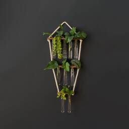 Propagation Station, Wall Hanging, Test Tube Holder For Propagating Plant Cuttings in Water, Hanging Room Decor