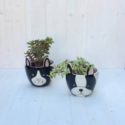 Cute Fox Ceramic Plant Pot - Hand-Painted Succulent Planter - thumbnail 3