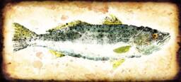 Speck Fish Rubbing 10 X 22 + Gyotaku Speckled Trout Prints Japanese Style Prints - thumbnail 1