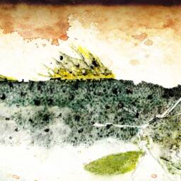 Speck Fish Rubbing 10 X 22 + Gyotaku Speckled Trout Prints Japanese Style Prints - thumbnail 3