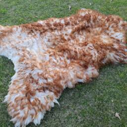 Sheepskin Rug Brown & White - Beige Icelandic Lamb Skin Wool Sheep Area Decorative Thrown Gift For Christmas - thumbnail 2