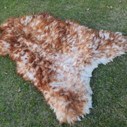 Sheepskin Rug Brown & White - Beige Icelandic Lamb Skin Wool Sheep Area Decorative Thrown Gift For Christmas - thumbnail 3