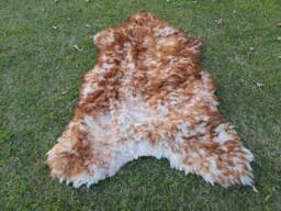 Sheepskin Rug Brown & White - Beige Icelandic Lamb Skin Wool Sheep Area Decorative Thrown Gift For Christmas - thumbnail 1