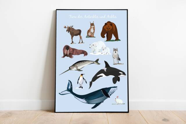 Art Print - Illustration Animals Of The Arctic & Antarctic - image 1
