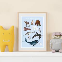 Art Print - Illustration Animals Of The Arctic & Antarctic - thumbnail 2