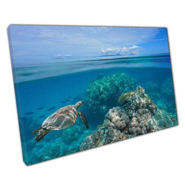 Tropical Seascape Canvas Print With Turtle Swimming in Reef Islands Horizon Wall Art For Home Office D??cor - image 1