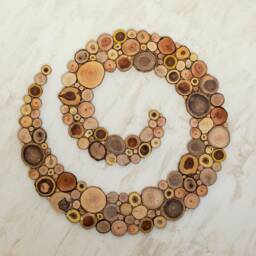 Spiral Wall Art Sculpture Made With Wood Slices, Organic Decor, Natural Handcrafted Design - thumbnail 2