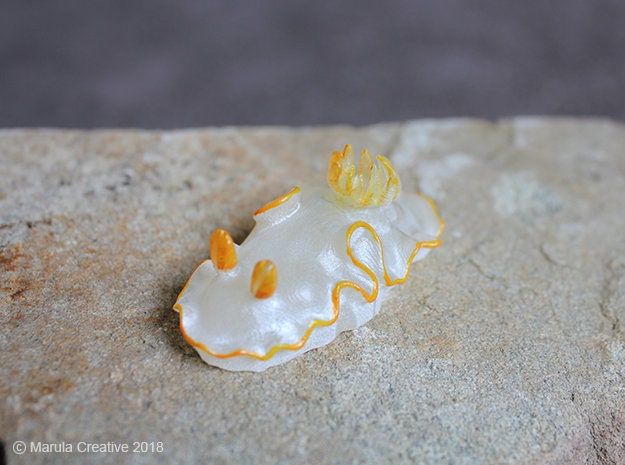 Ado The Nudibranch - Ardeadoris Sp - image 1