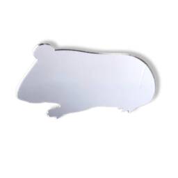 Guinea Pig Acrylic Mirror Personalized Engraved Pet Mirror - thumbnail 2