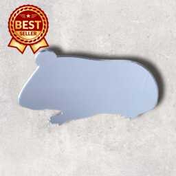 Guinea Pig Acrylic Mirror Personalized Engraved Pet Mirror - thumbnail 1
