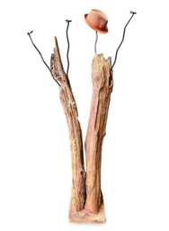 Driftwood Double Sculpture Coat Stand 180cm