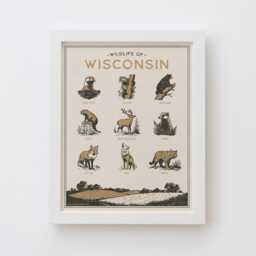Wisconsin Wildlife Wall Art Print - Vintage Animal Poster Design, Archival Quality Matte Fine Art Print. Outdoor, State Gift - thumbnail 1