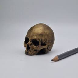 Brass Effect Solid Tiny Human Half Skull Ornament. Small Replica Plaster Of Paris Skull - thumbnail 4