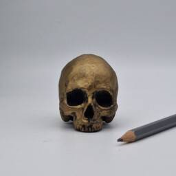 Brass Effect Solid Tiny Human Half Skull Ornament. Small Replica Plaster Of Paris Skull - thumbnail 3