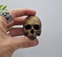 Brass Effect Solid Tiny Human Half Skull Ornament. Small Replica Plaster Of Paris Skull