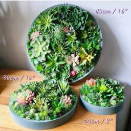 Round Faux Succulent 3D Wall Art Modern Framed Realistic Plant Decor - thumbnail 3