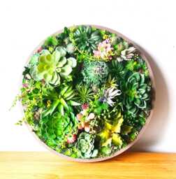 Round Faux Succulent 3D Wall Art Modern Framed Realistic Plant Decor - thumbnail 1