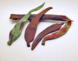 Faux Aged Copper Gum Leaf Ornament Australian Home Decor