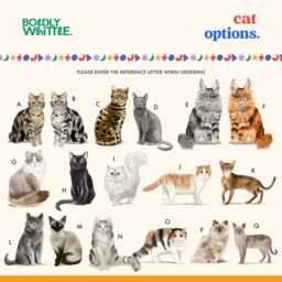 Personalised Tabby Cat Print, Lover, Gift, Pet Portrait, Customised Portrait - thumbnail 3