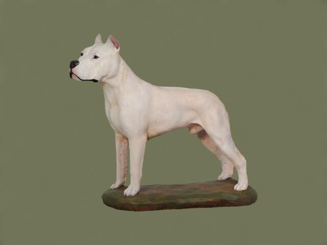 Dogo Argentino, Dog Base Statue, Painted, Limited Edition, Make Your Own Artdog - image 1