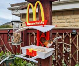 Macawnalds Garden Bird Feeding Station - Bird Seed Feeder Quirky Outdoor Decor Wild Food Table Sparrow Blue Tit Blackbird - thumbnail 1