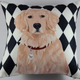 Golden Retriever - thumbnail 3