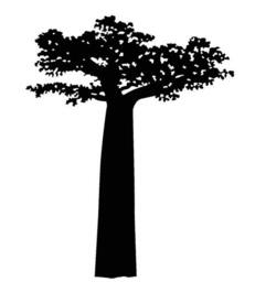 Baobab Tree Wall Decal Madagascar Decor With Birds & Lemurs - thumbnail 1