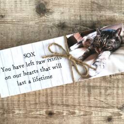 Pet Memorial, Cat Dog Handmade Personalised Plaque, Photograph Frame, Remembrance, Memorial Gift - thumbnail 2