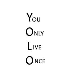 "Vwaq Yolo Wall Decal You Only Live Once Matte Black Vinyl Quote Sticker - 30""H X 12" - thumbnail 3