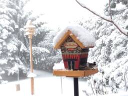 Coffee Lovers Fly Thru Feeder - Stained Roof