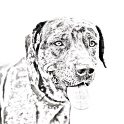 Catahoula Cur - Wooden Stand For Candles/Pens With The Image Of A Dog New Collection - thumbnail 2