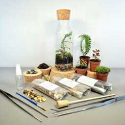 Diy Bottle Terrarium Kit With Live Plants Complete Starter Set - thumbnail 2