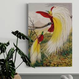 Birds Of Paradise Vintage Art Print By Benjamin Fawcett - Framed Canvas Or Poster - thumbnail 2