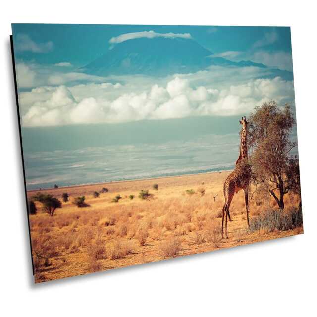 Masai Giraffe & Mount Kilimanjaro, Wildlife Photography, Animal Photo Print, Nature Wall Art, Amboseli National Park, Kenya Canvas Print