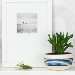 Handmade Ceramic Planter. Minimalist Porcelain Cactus Succulent White Blue Wedding Serving Bowl Design By Conceptstudio - thumbnail 2