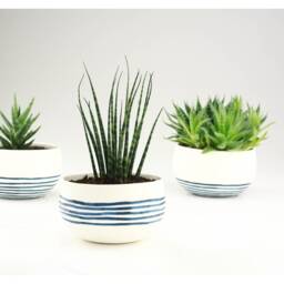 Handmade Ceramic Planter. Minimalist Porcelain Cactus Succulent White Blue Wedding Serving Bowl Design By Conceptstudio - thumbnail 3