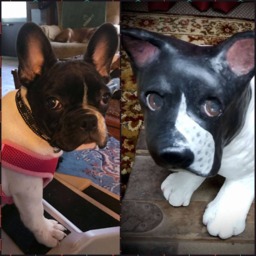 Whimsical Custom Paper Mache Pet Sculptures - thumbnail 3