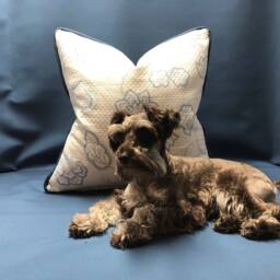 White Pique With Blue Flower Print & Welt Custom Pillow - thumbnail 3