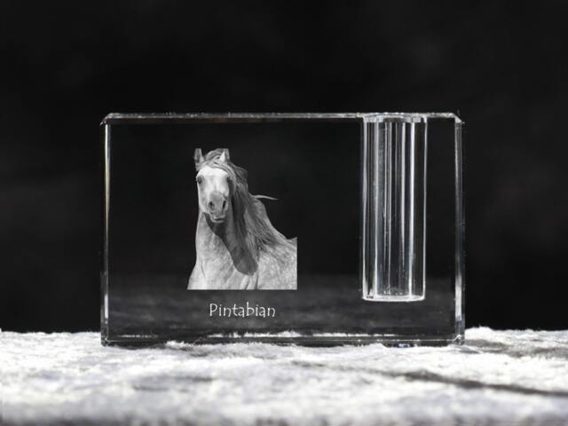 Pintabian Crystal Pen Holder With Horse, Souvenir, Decoration, Limited Edition, Collection - image 1