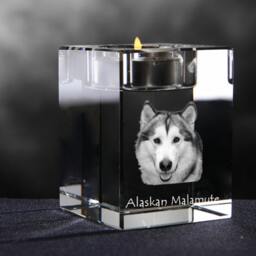 Alaskan Malamute, Crystal Candlestick With Dog, Souvenir, Decoration, Limited Edition, Collection - thumbnail 2