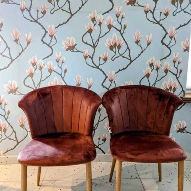 Set Of 2 Elsa Velvet Dining Chairs - image 1
