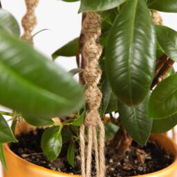 Jute Macrame Plant Hanger Hanging Planter Rustic Rope Bohemian Indoor Scandinavian Style Home Decor Pot Holder Boho - thumbnail 3