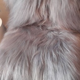 Real Sheepskin Sofa Cover, Grey Wool Blanket, Animal Theme Nursery - thumbnail 2