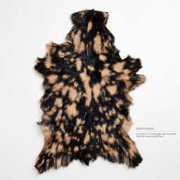 Genuine Premium Pattern Goat Skin Rug - Natural Animal Hide Throw, Rustic Decor - thumbnail 3