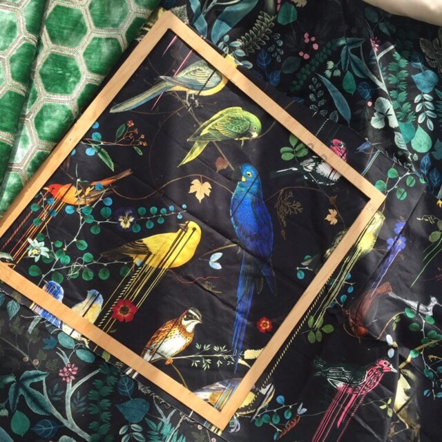 Christian Lacroix Birds Sinfonia Cushion Pillow - Decorative Cover - image 1