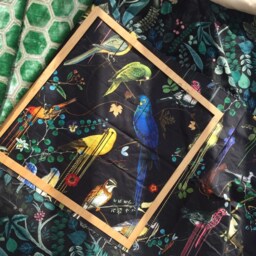 Christian Lacroix Birds Sinfonia Cushion Pillow - Decorative Cover - thumbnail 1
