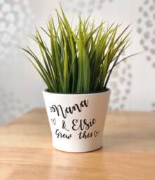 Personalised Plant Pot Planter Nana & Me Grew This - Nanny Gift Granny Nanna Grandma Gran Nannie Mummy