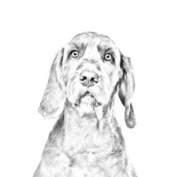 Wirehaired Vizsla - Wooden Stand For Candles/Pens With The Image Of A Dog New Collection - thumbnail 2