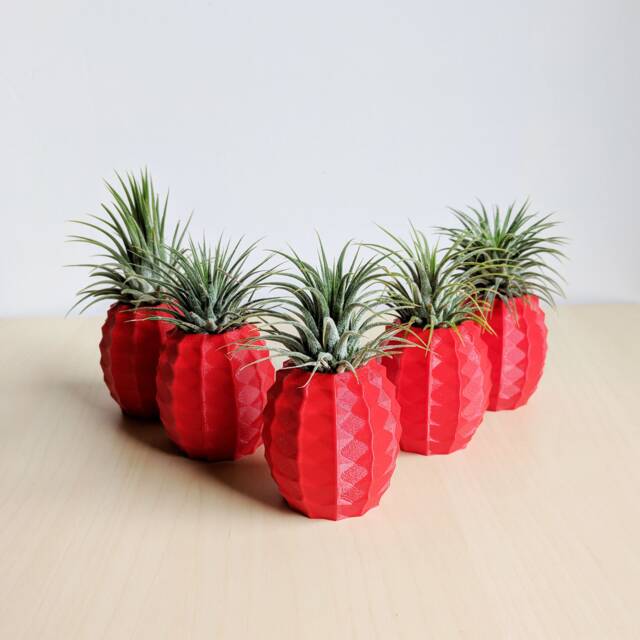 Bulk Wholesale - Set Of 5 Pineapple Air Plant Holders, Airplant, Geometric Plant, Pot Wedding Favors - image 1